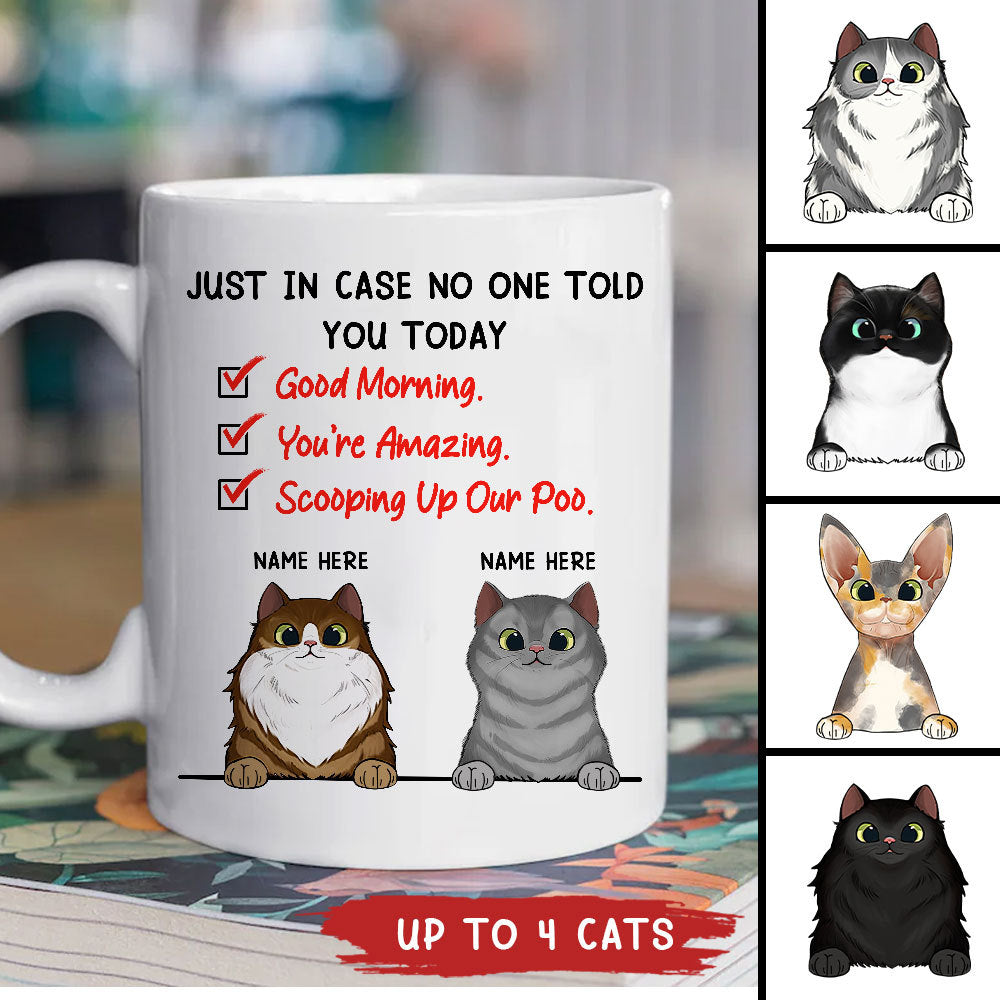 89Customized Just In Case No One Tell You Today Personalized Mug