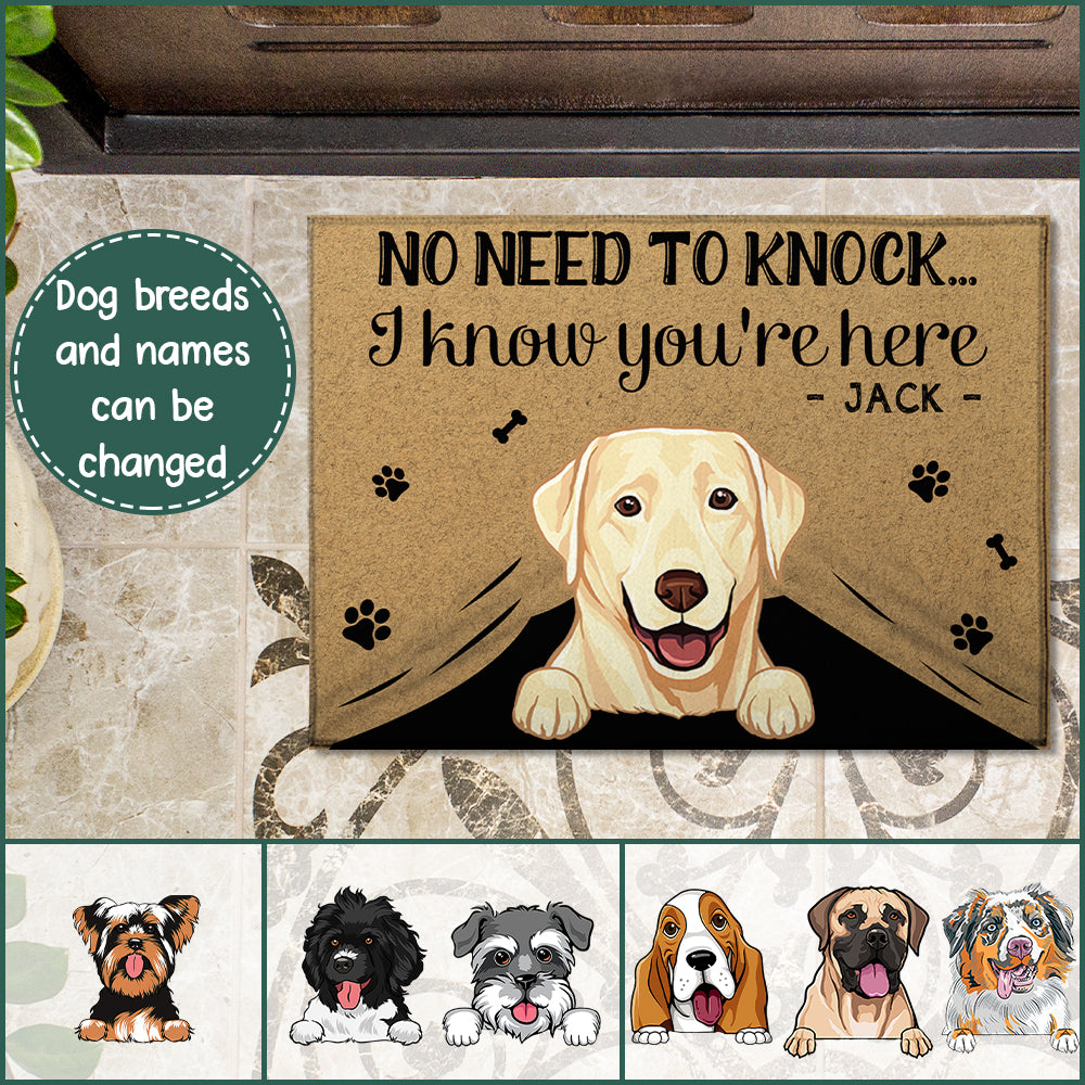 89Customized My Dogs Know You Are Here Personalized Doormat