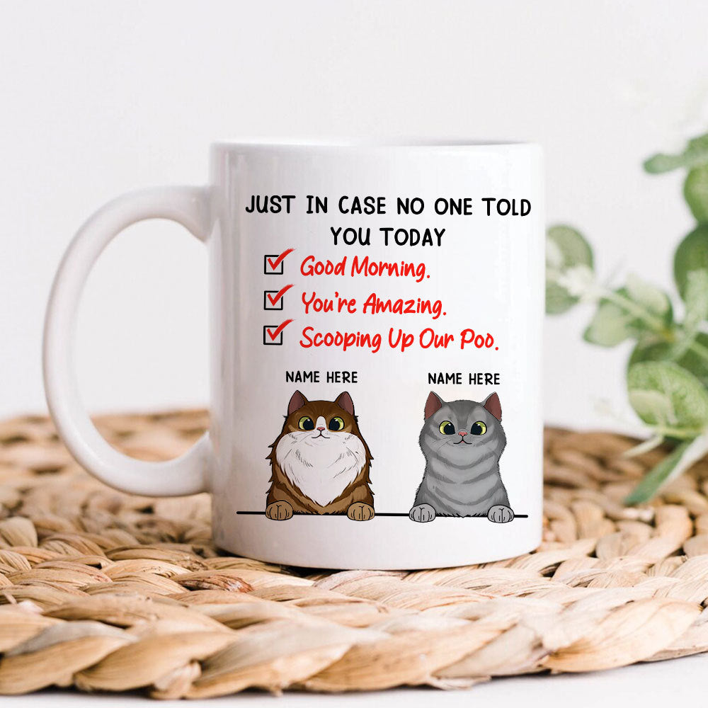 89Customized Just In Case No One Tell You Today Personalized Mug