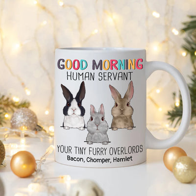 89Customized Good Morning Human Servant Rabbits Personalized Mug