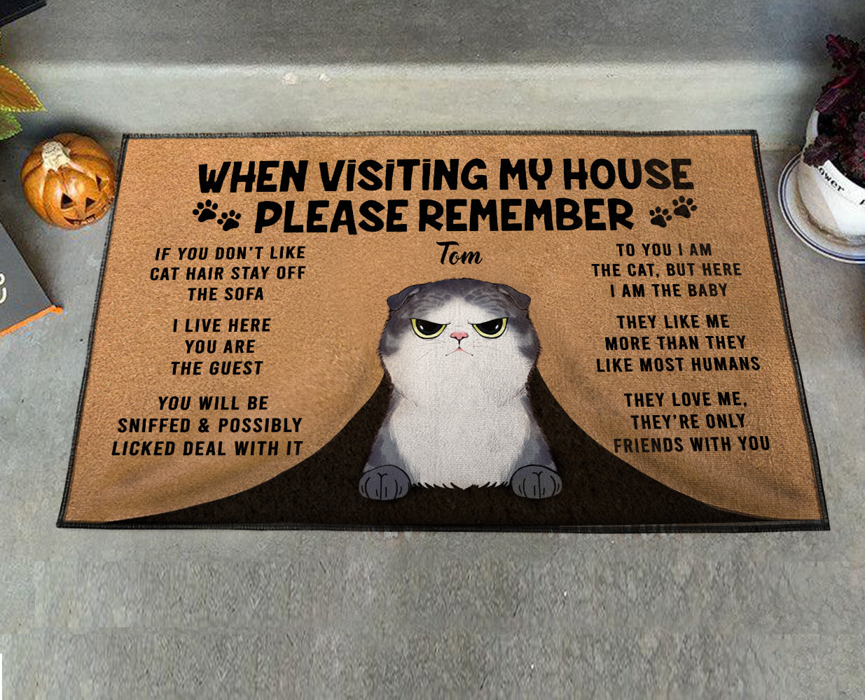 89Customized Cat Lovers Personalized Doormat