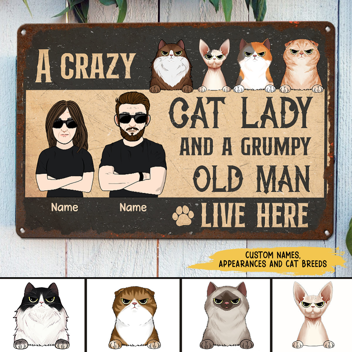 89Customized A crazy cat lady and a grumpy old man live here Personalized Printed Metal Sign