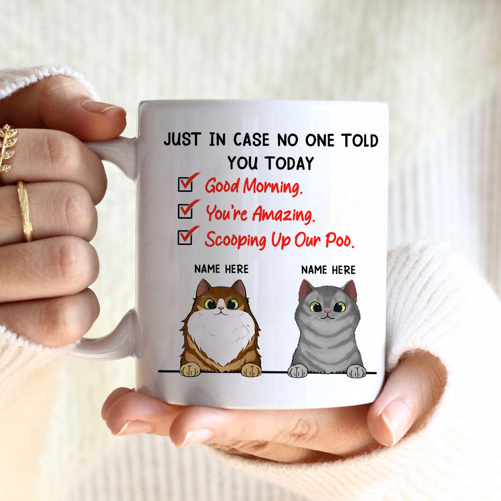 89Customized Just In Case No One Tell You Today Personalized Mug