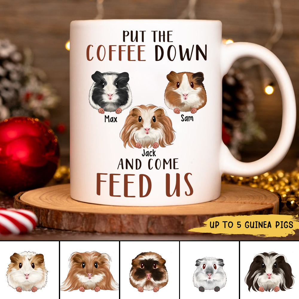 89Customized Put The Coffee Down And Come Feed Us Guinea Pig Lovers Personalized Mug