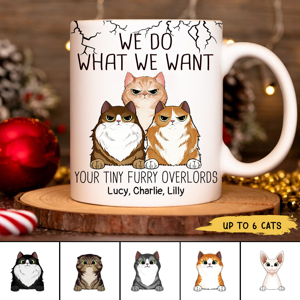 89Customized We do what we want your tiny furry overlords cat personalized mug