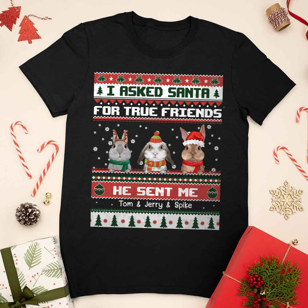 89Customized I Asked Santa For A True Friend He Sent Me My Rabbits Personalized Shirt