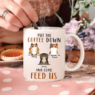 89Customized Put the coffee down and come feed us Cat Lovers Personalized Mug