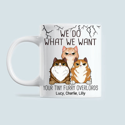 89Customized We do what we want your tiny furry overlords cat personalized mug