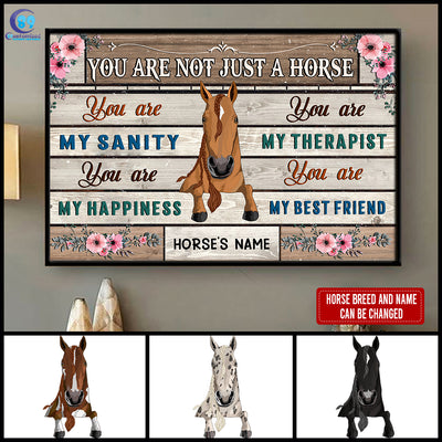 89Customized You are not just a Horse Customized Horizontal Poster