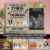 89Customized Promoted from dog grandma to human grandma announcement gift personalized photo clip frame